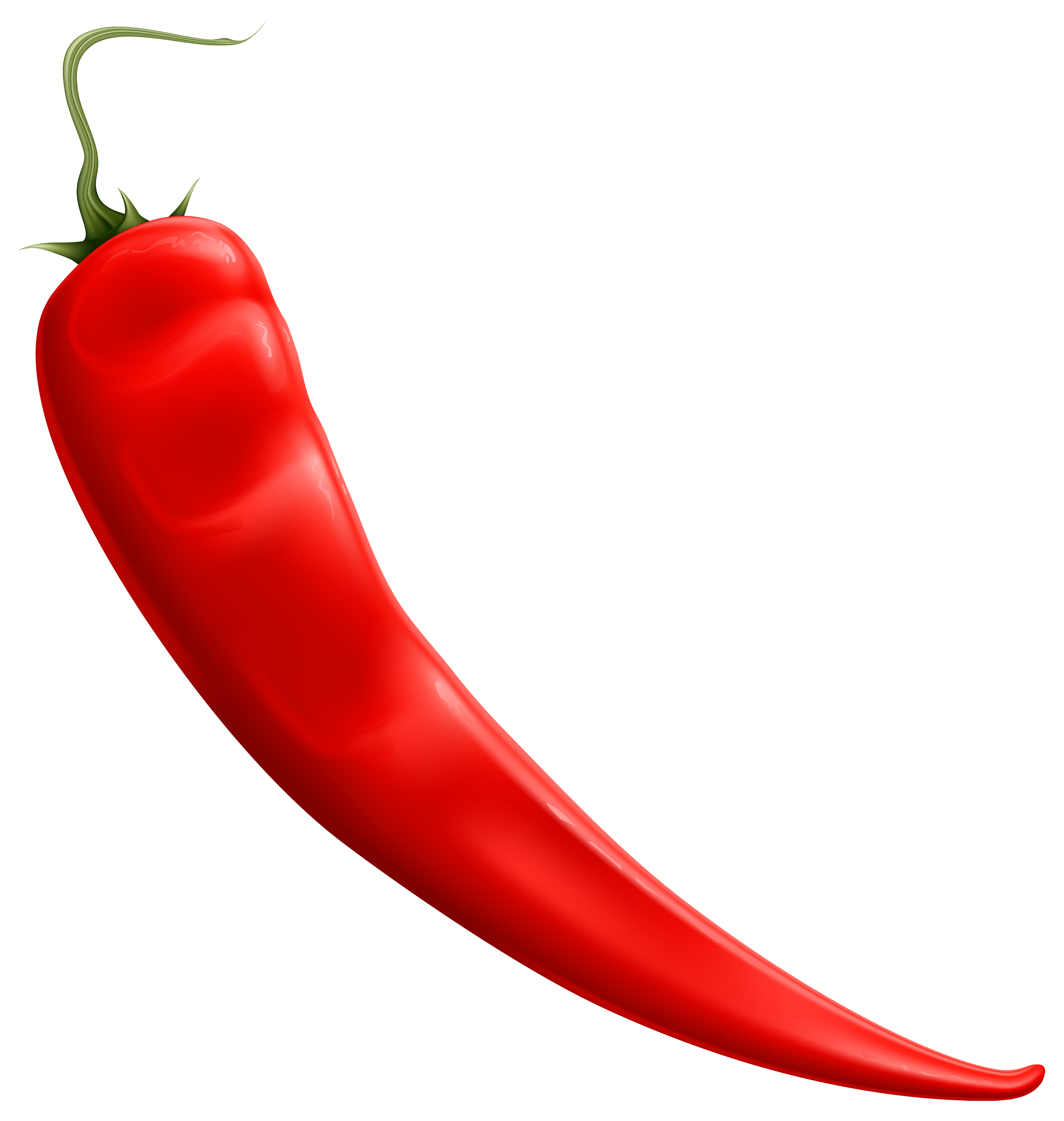 3500x3688 Chili Drawing Animated Transparent Png Clipart Free Download
