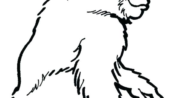 585x329 Chimpanzee Coloring Book Pages Online Unicorn For Adults Quotes