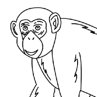 200x200 Drawing Chimpanzee