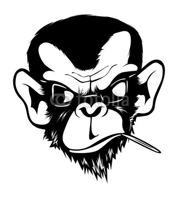 360x400 mad angry bad chimp ape monkey gorila ink black white buy photos