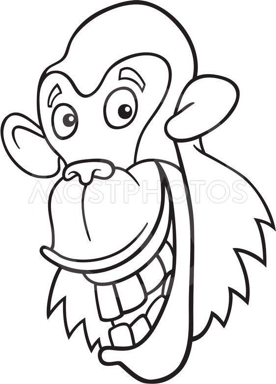 562x782 Chimpanzee For Coloring Book