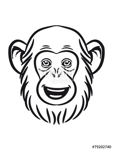 375x500 dear sweet monkey chimp stock photo and royalty free images