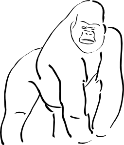 255x297 chimp drawing outline transparent png clipart free download