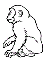 150x200 Consonant Digraph Ch Chimpanzee Preschool Lesson Plan Printable