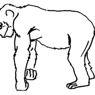 320x320 Schematic Drawings Of The Target Action Chimpanzee Praying Used