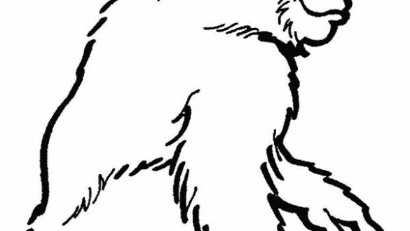 585x329 Chimpanzee Coloring