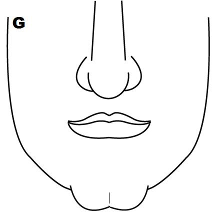 434x436 face reading chin shapes and personality what pointed, square