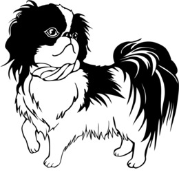 260x260 Bulldog, Dog, Drawing, Transparent Png Image Clipart Free Download