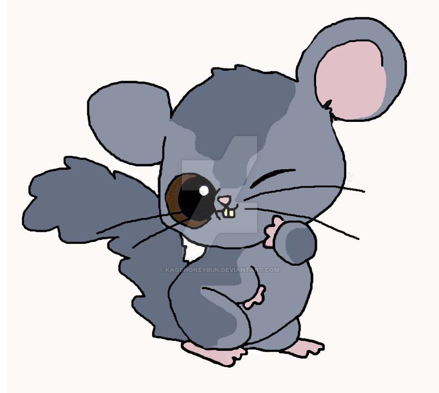 900x806 chinchilla yoohoo