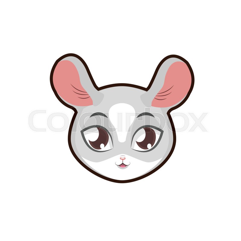 800x800 chinchilla portrait illustration stock vector colourbox