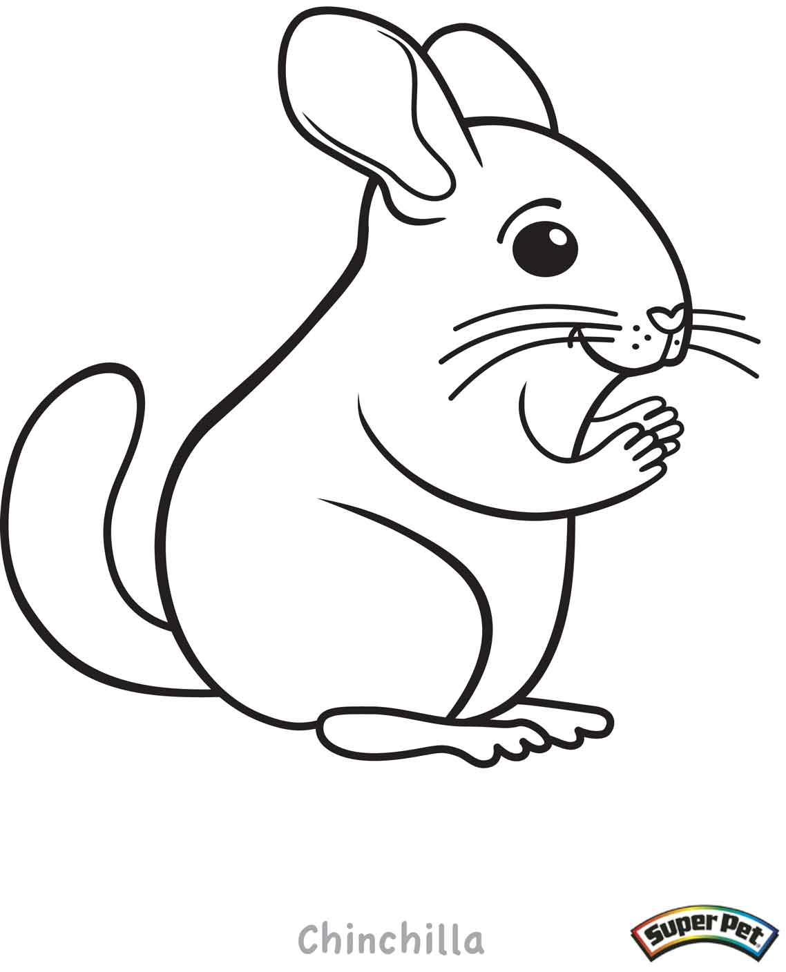 1138x1408 hamster drawing chinchilla for free download