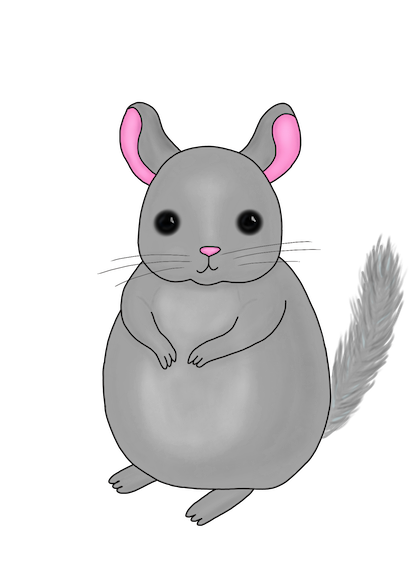 412x576 collection of free chinchilla drawing cartoon download on ui ex