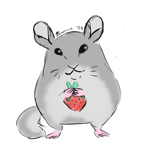 500x500 collection of free chinchilla drawing download on ui ex