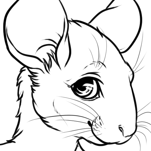 500x500 free chinchilla icon base! no shading