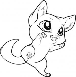 299x302 A Chinchilla