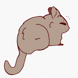 320x320 chinchilla drawings on paigeeworld pictures of chinchilla