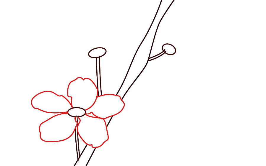 900x563 How To Draw Cherry Blossoms
