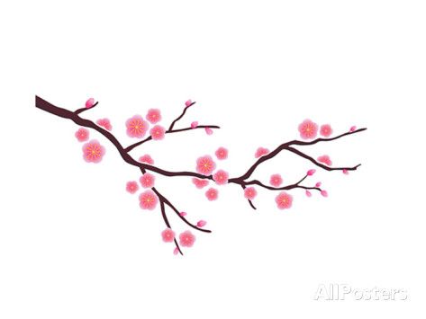 473x355 Cherry Blossom In Spring Time Posters