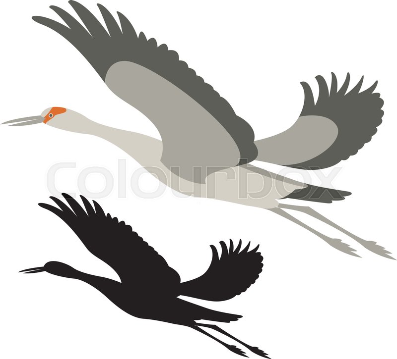 800x725 Crane Bird Vector Illustration Black Stock Vector Colourbox