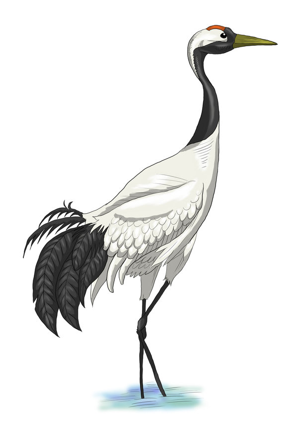 Chinese Crane Drawing | Free download on ClipArtMag