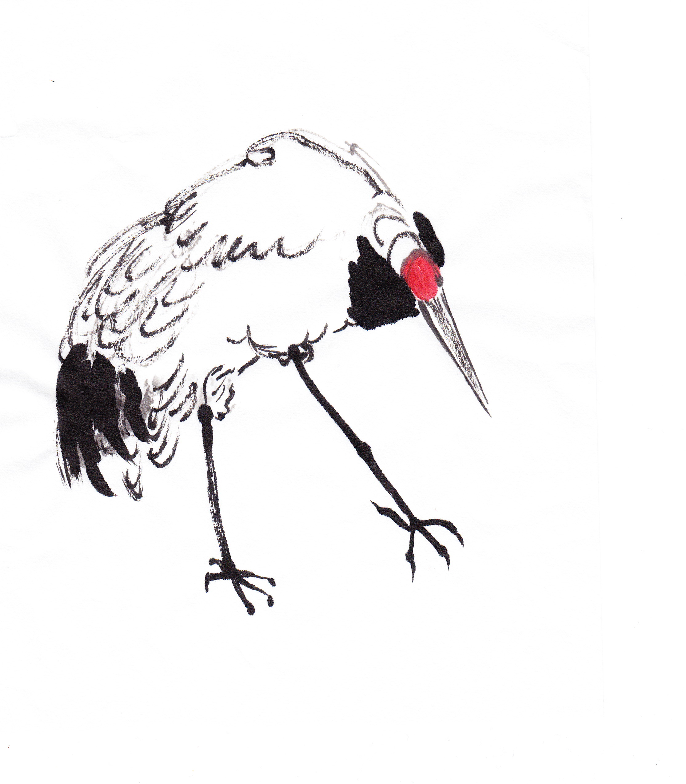 2230x2547 On The Trail Of The Red Crowned Crane Followmybrushmarks