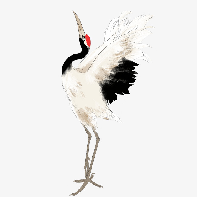 650x651 China Style Crane Wings Illustration Image
