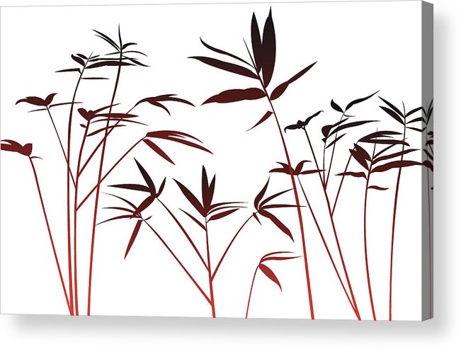 651x493 Bamboo Plant Acrylic Print