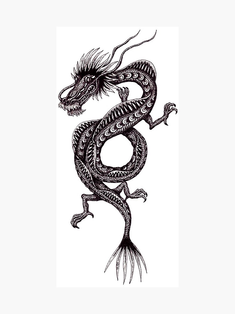 750x1000 Chinese Dragon Black And White Pen Ink Drawing Photographic Print