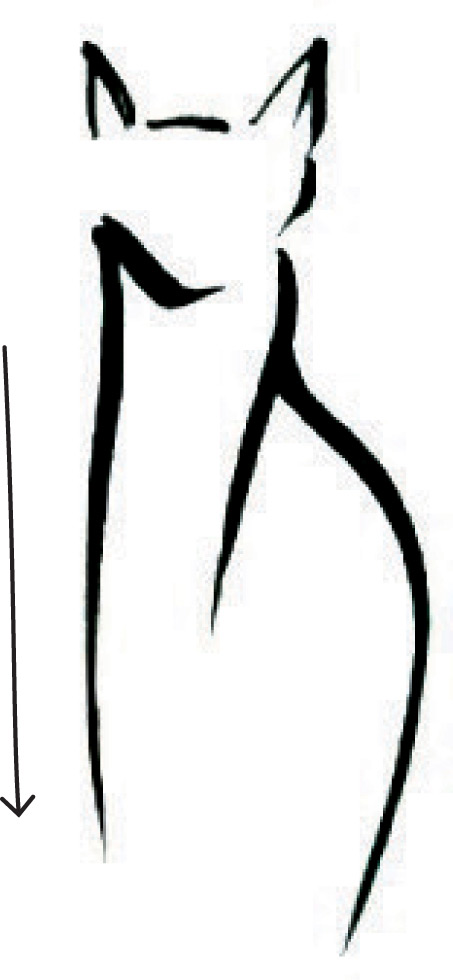 453x980 Shape And Contour