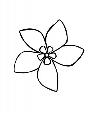 309x400 Jasmine Flower Simple Drawing Chinese Art Easy Flower Drawings