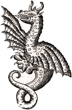 244x370 Drawing Chinese Sea Dragon Transparent Png Clipart Free Download