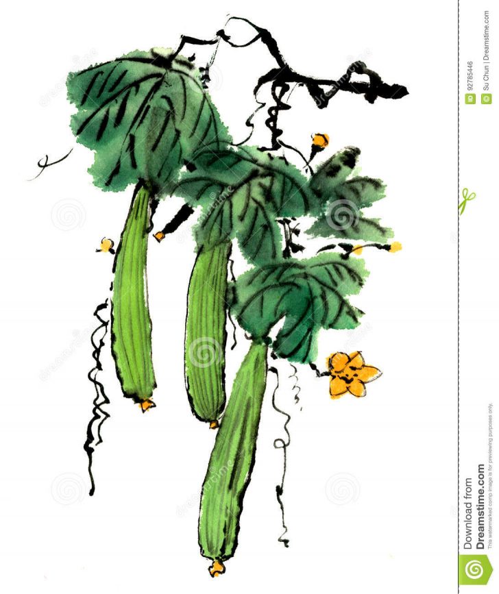 728x867 Chinese Fu Dog Drawings Decoration Coloring Animals Dragon