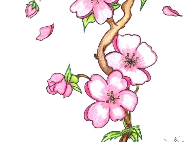 640x480 Flowers Drawings Easy Chinese Flowers Drawings Easy