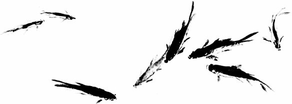 584x209 Chinese Fish Art Free Download