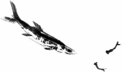 400x238 Chinese Painting Png