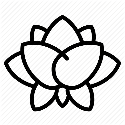 512x512 Drawing Chinese Lotus Flower Transparent Png Clipart Free