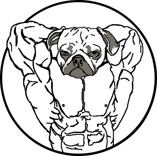 550x549 Muscle Zoo Chinese Pug Posters