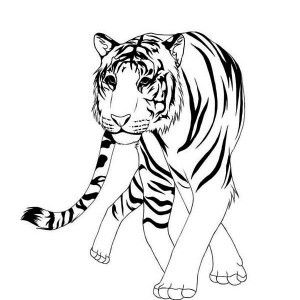 300x300 Download Online Coloring Pages For Free