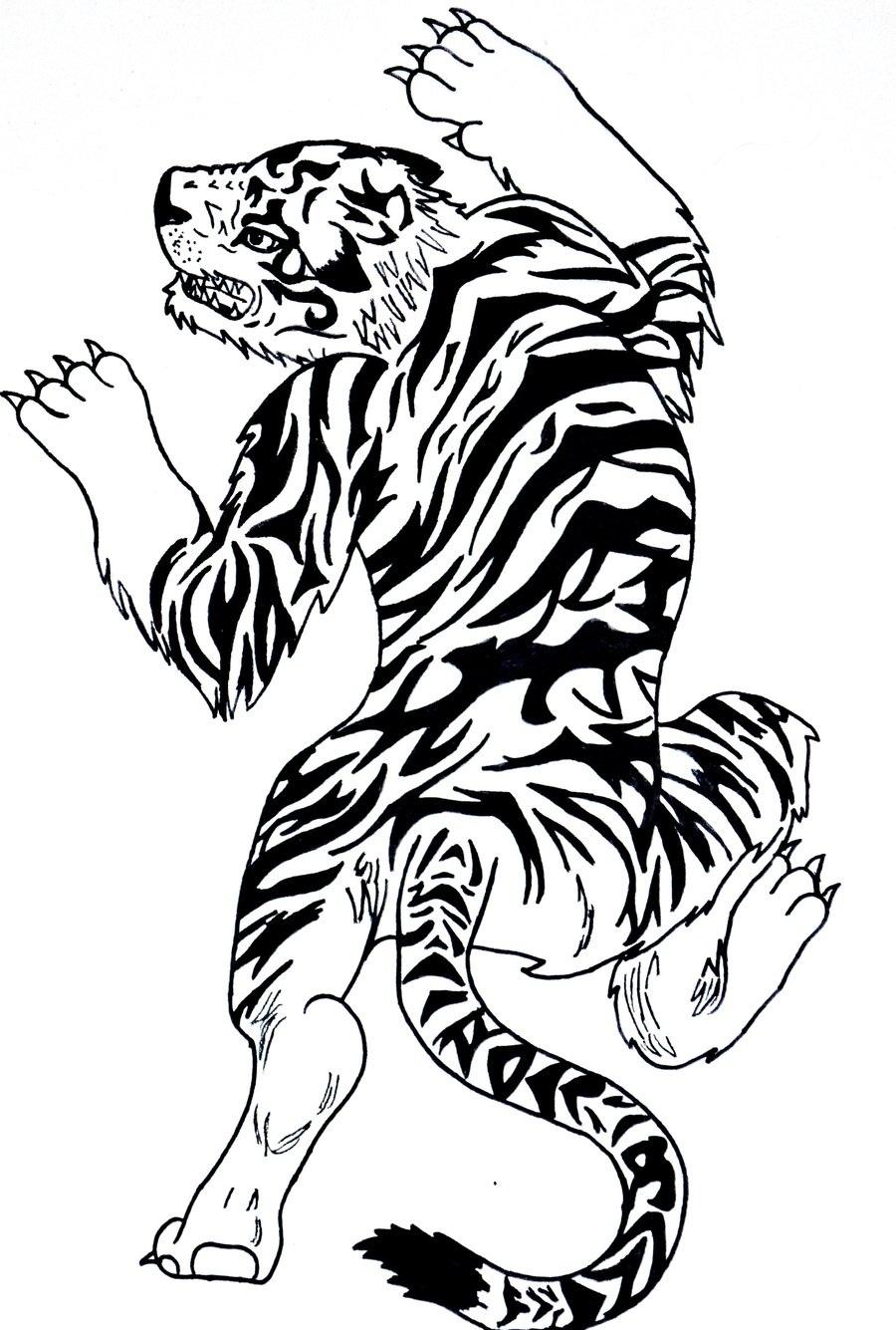 Chinese Tiger Drawing Free download on ClipArtMag