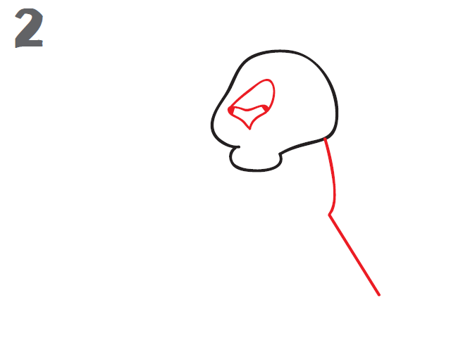 640x480 How To Draw A Tiger