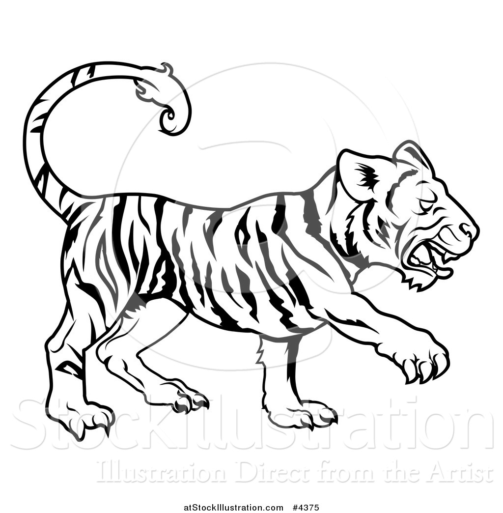 1024x1044 Vector Illustration Of An Outlined Chinese Zodiac Tiger