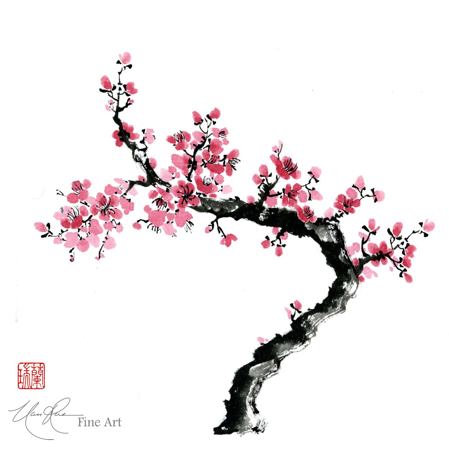 1543x1543 Cherry Blossom Tree Drawing Chinese