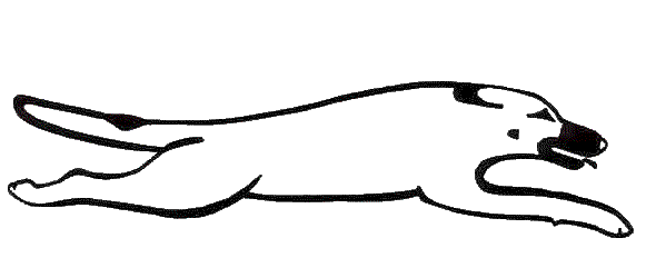 581x232 Rain Mountain Chinooks