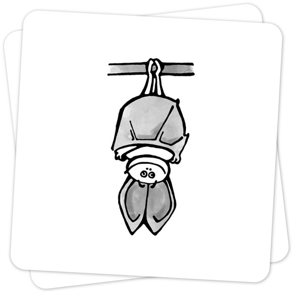 582x582 Animal Game Cards On Behance