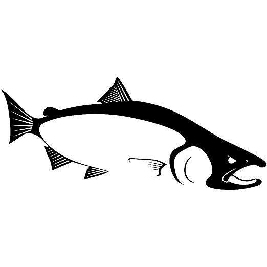 Chinook Salmon Drawing | Free download on ClipArtMag