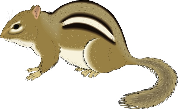 600x369 Chipmunk Free Vector In Open Office Drawing