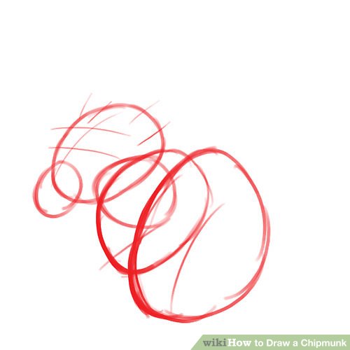 500x500 How To Draw A Chipmunk Steps