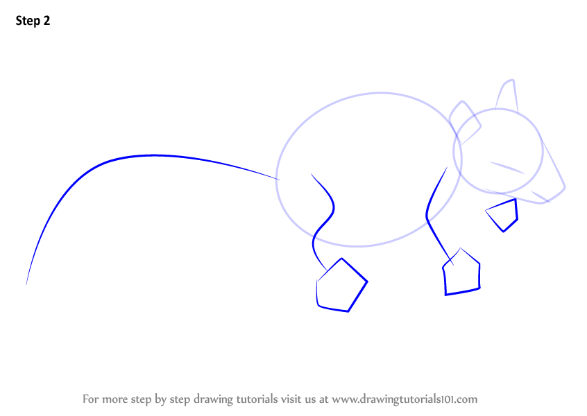 846x600 Learn How To Draw A Panamint Chipmunk