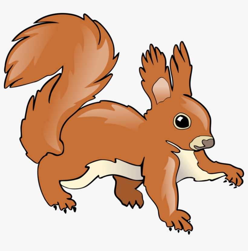 820x830 Tree Squirrel Chipmunk Computer Icons Drawing Free