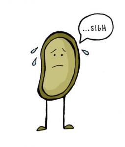 255x300 super bowl sunday chipotle lime wings